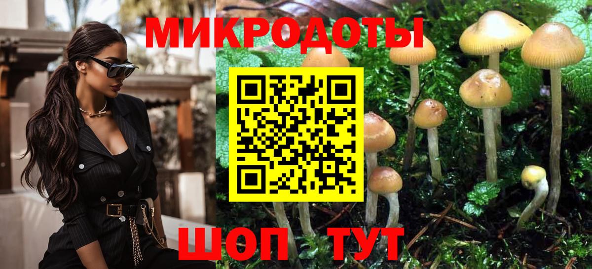 Кисловодск  Псилоцибиновые грибы Psilocybine cubensis  Вход с VPN 
